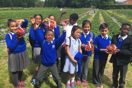 St Mary's Primary Pupils Learning On A Farm